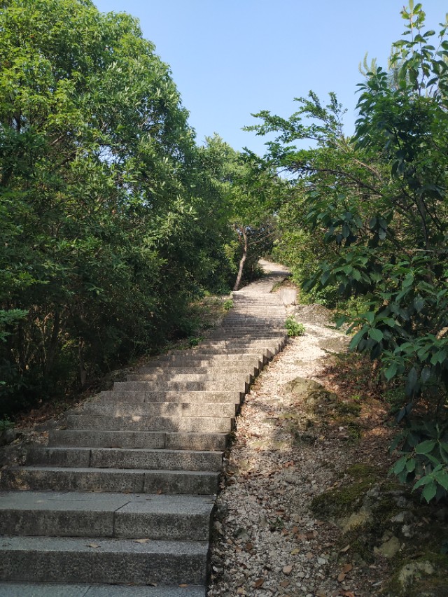 杭州西湖茶山游玩攻略,杭州西湖边游玩