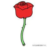 成人看图学英语之各种类型的花