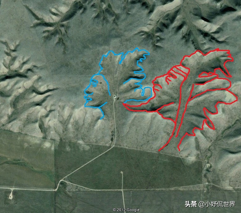 5个在谷歌地图上拍到的神秘生物,谷歌地图卫星拍摄到的神秘图片