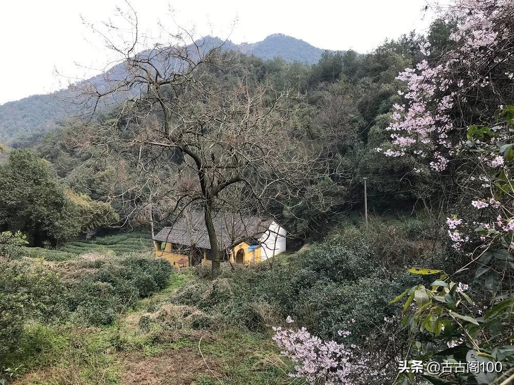 越王峥大峡谷：风景壮美，迷倒众生