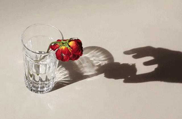 在家拍摄100个创意技巧,在家拍摄100个创意摄影方案