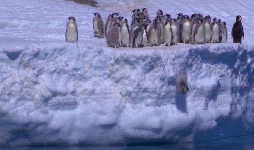 喜羊羊与灰太狼原始世界纪录片,喜羊羊与灰太狼每部片讲述的道理