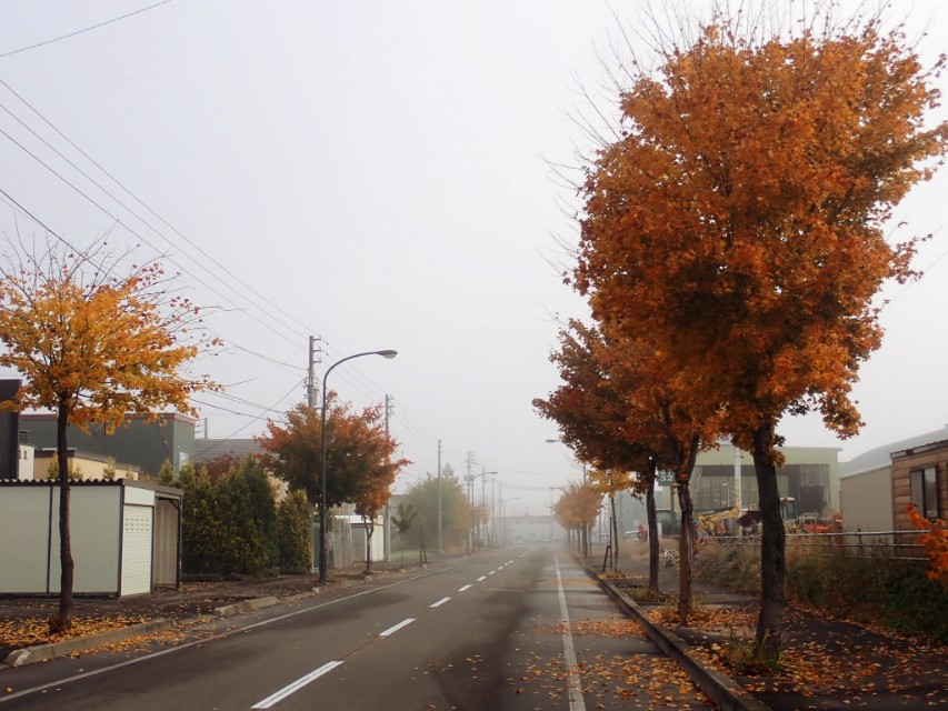 北海道登别到美瑛町需多久,日本北海道美瑛川的雪景