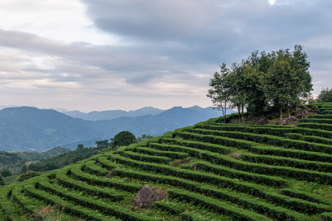 南靖一道美丽的风景线,南靖景区有哪些好玩的