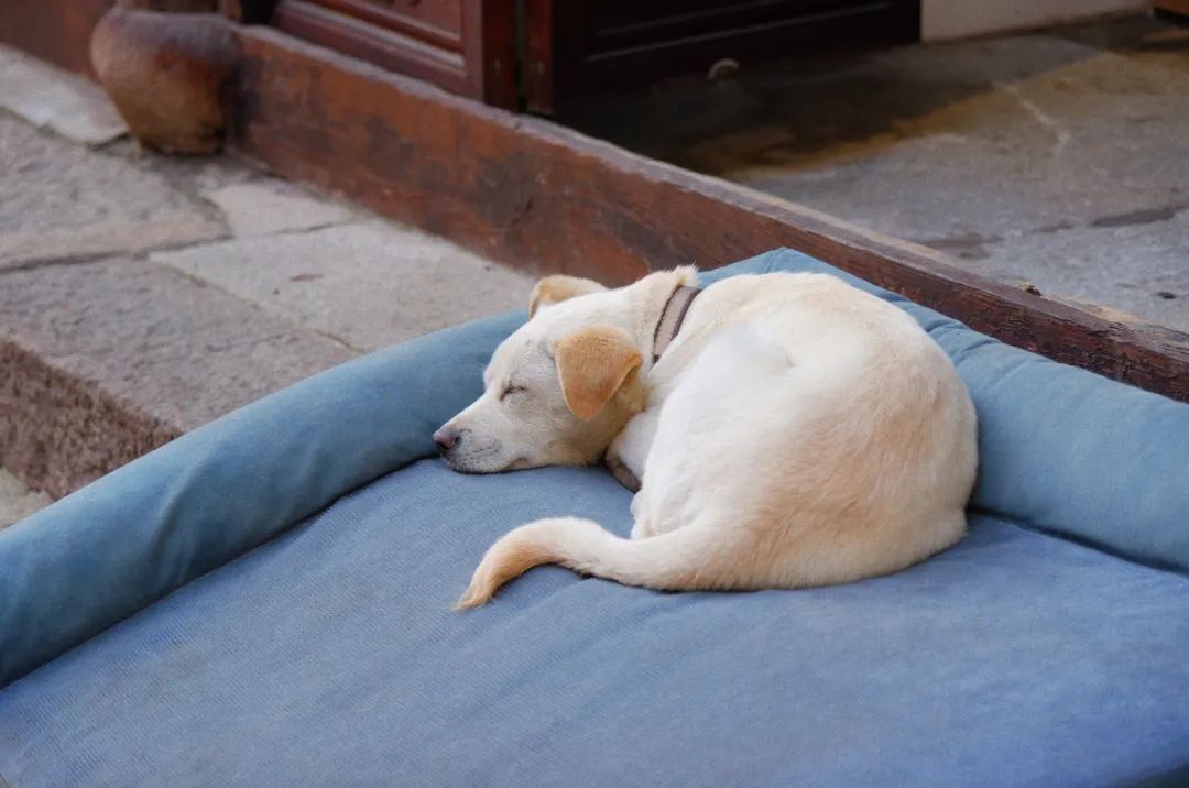 杭州西湖百年老字号美食,杭州十大老字号美食