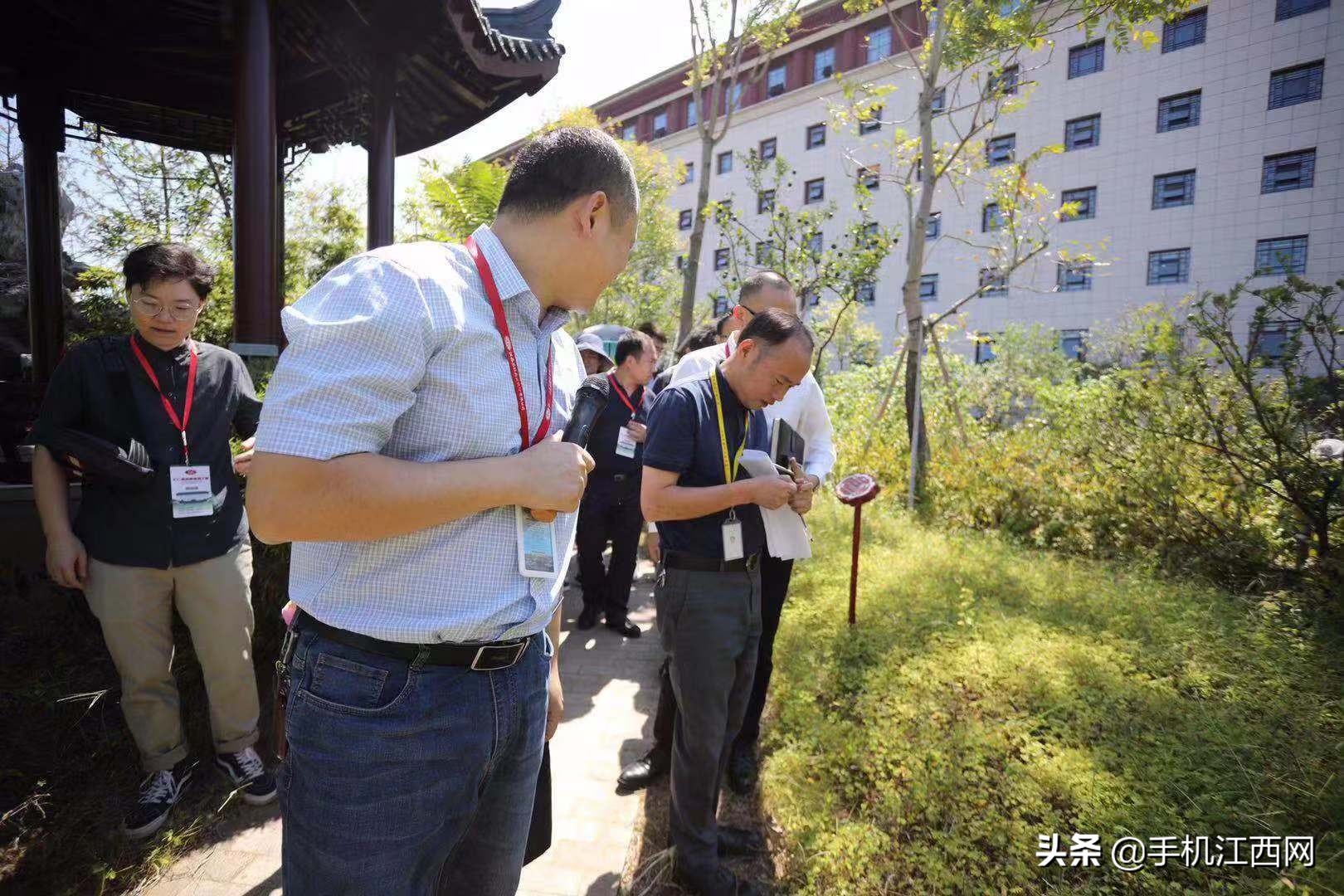 全国网络媒体记者齐聚天津,全国主流媒体记者聚焦东湖