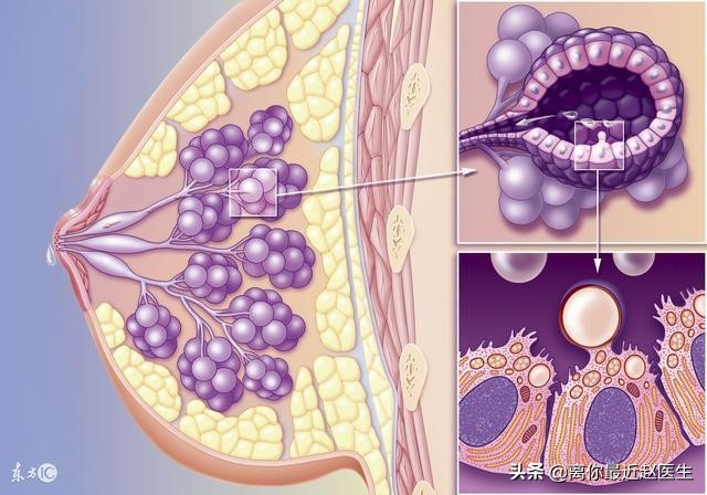 为什么医生不建议做乳腺按摩,有副乳腺怎么治