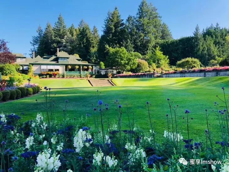 走进爱丽丝梦游仙境,爱丽丝梦游仙境绝美森林