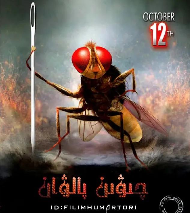 值得一看的印度搞笑电影,三部印度爆笑片专治你的不开心