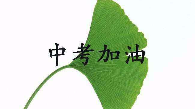 中考压力大的学生怎么开导,孩子中考压力大怎样开导他