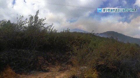 一不小心，他放火把山烧着了