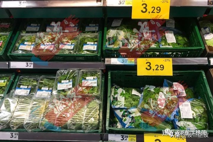 波兰物价多少钱一公斤,波兰与西班牙物价对比