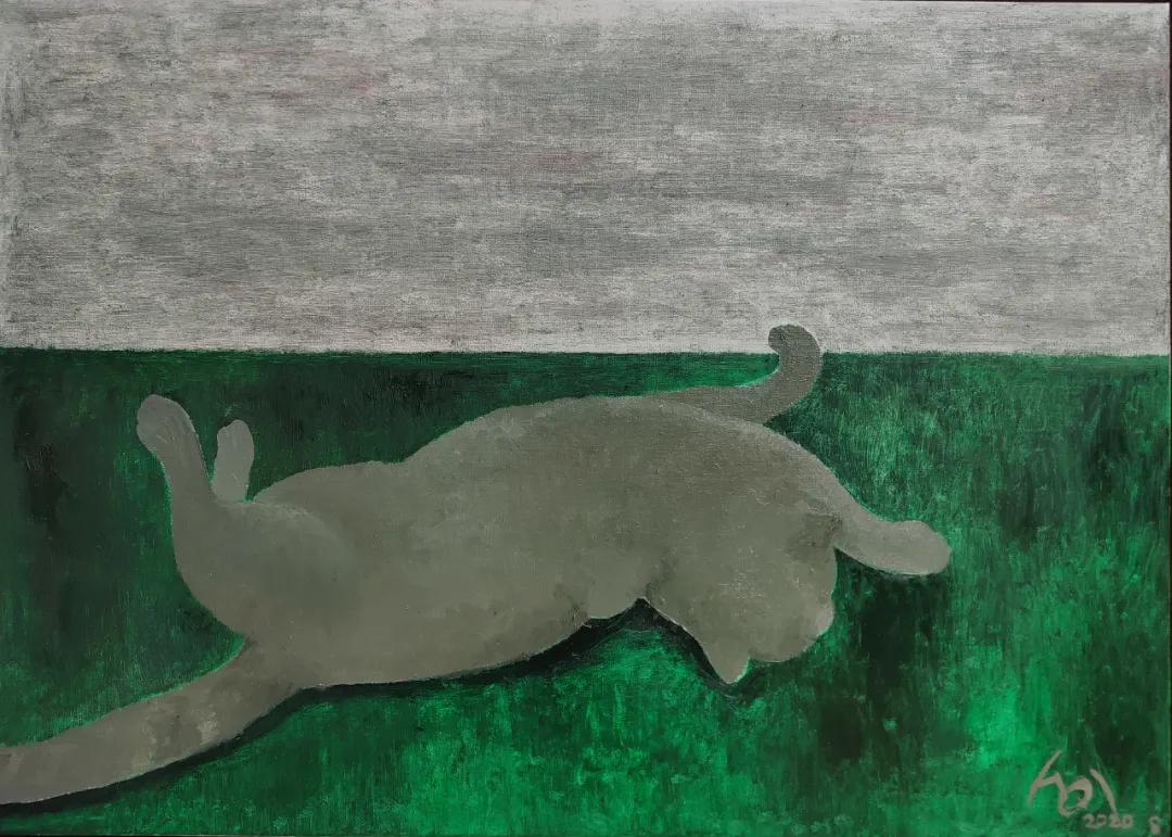 未解之谜大揭秘,未解之谜解说