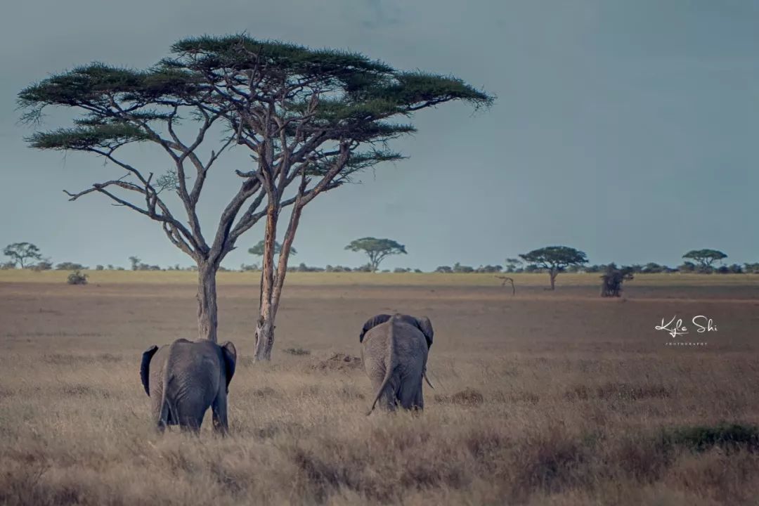 宁波旅行博主排行榜前十名,宁波旅行博主