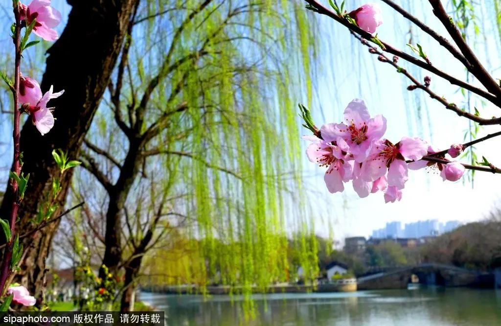 藏不住了!北京这些地方即将美出天际,你居然不知道?