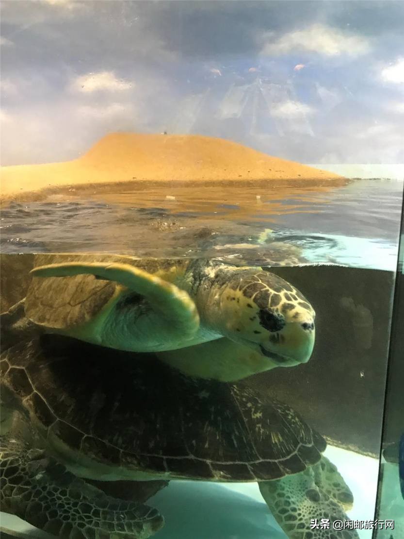 海洋量子号长崎福冈游记,海洋量子号长崎旅游攻略