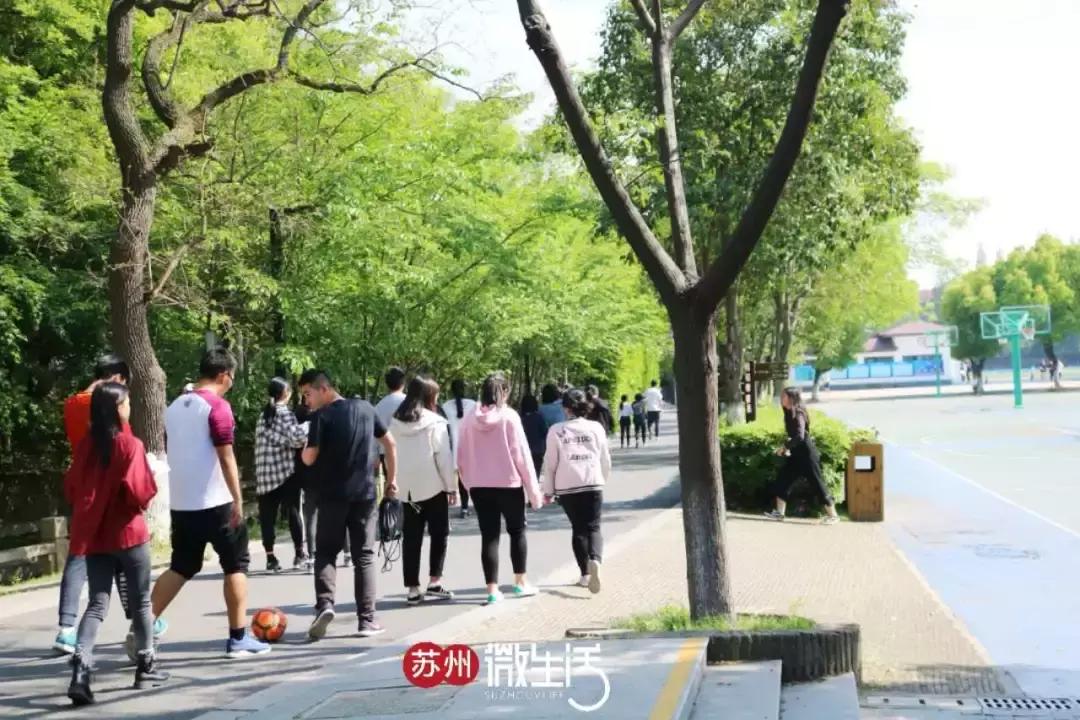 苏州中学名录,苏州中学全国百强名单