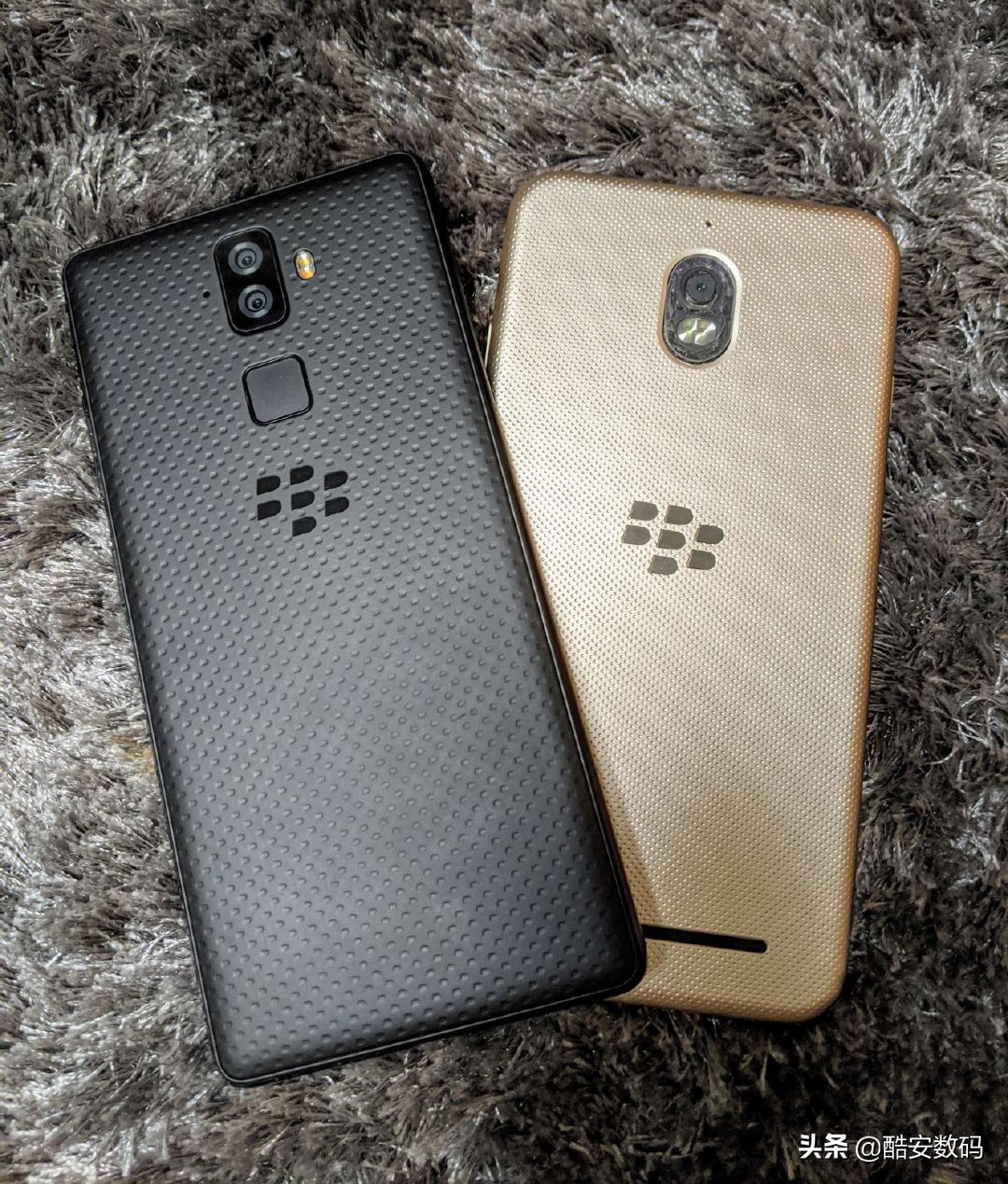 比冷门还冷门的番叫什么,黑莓aurora