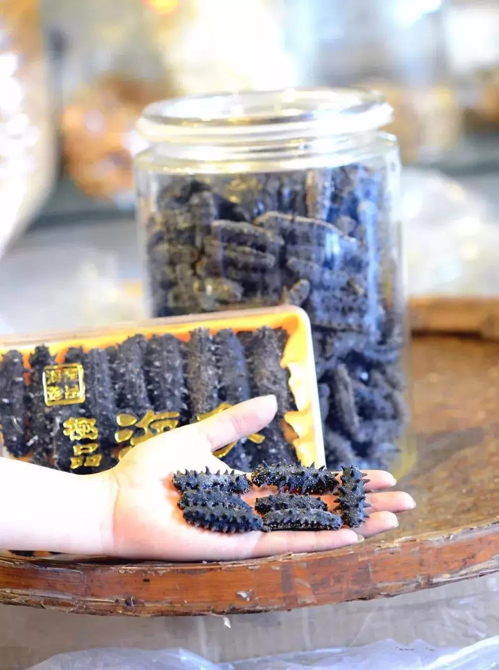 海参界最好的海参,海参物种科普