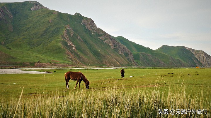 巴音布鲁克草原的特色,巴音布鲁克好吗