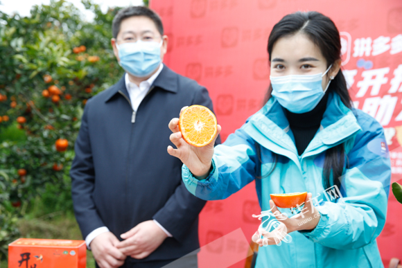 开州区长直播卖橙子,开州区长直播卖货