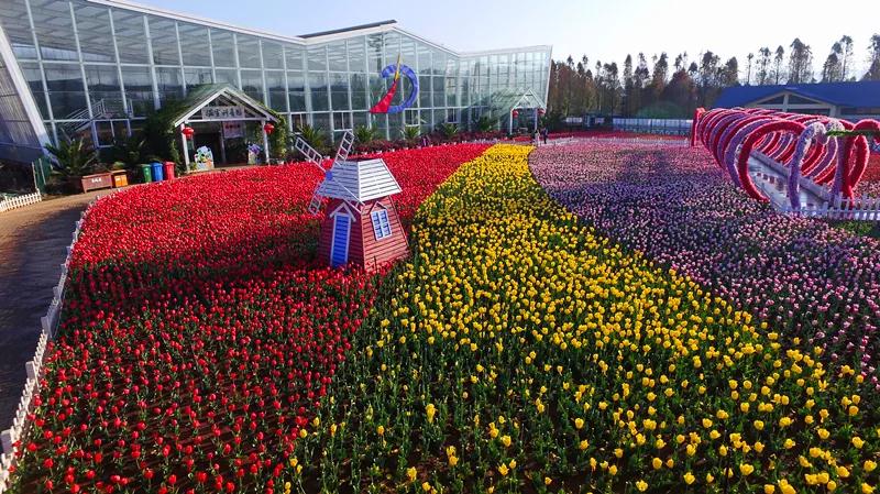 昆明最火网红打卡景点免费的,昆明最近的值得打卡的景点