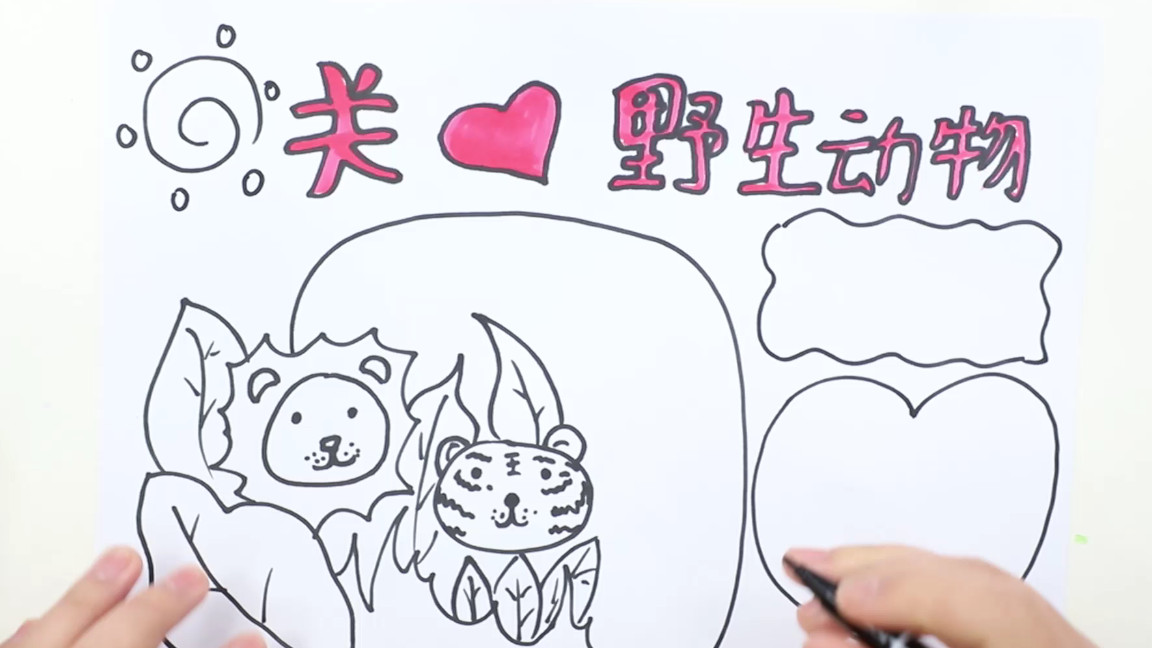 保护野生动物的手抄报内容,病从口入保护野生动物手抄报