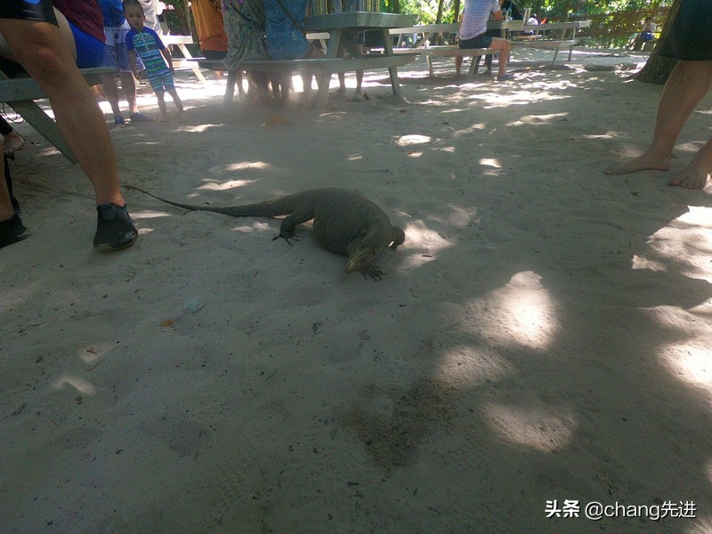 泰国普吉斯米兰跟团浮潜,泰国普吉岛自由潜水皇帝岛
