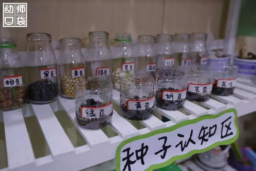 特色幼儿园活动区,高端幼儿园特色活动