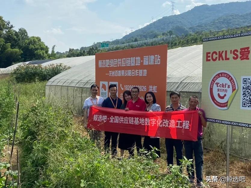 持续增值赋能，鲸选吧溯源助农打造“富贵果”