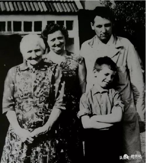 克拉克黄金鸽子,克拉克黄金种鸽图