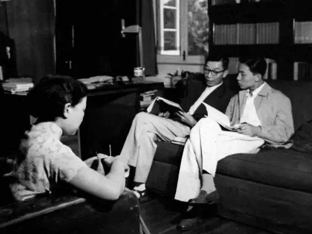 高晓松现状如何最新,高晓松近况被曝