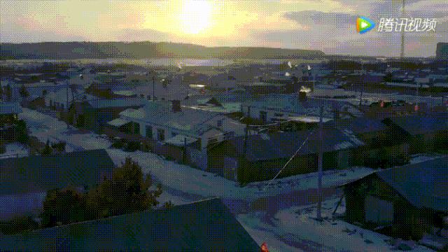 明星投毒吓人事件,深夜放毒招人恨的视频