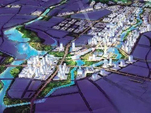 在广州打拼的人,广州人都在看什么