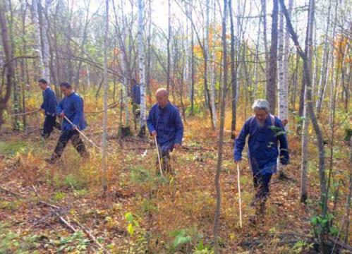 长白山挖人参真的会跑吗,长白山挖参人视频