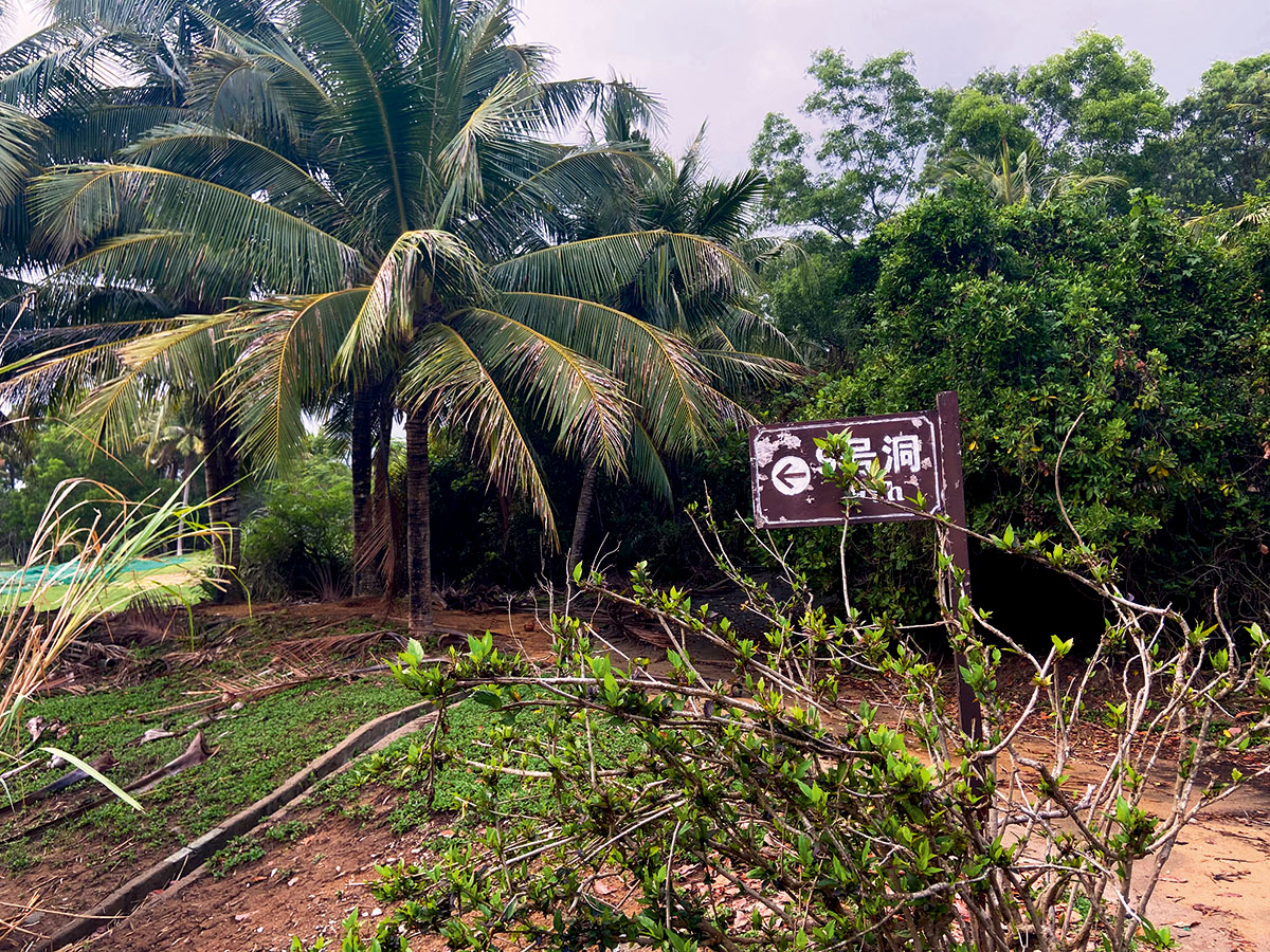 一年亏损600万元，整改过关又倒闭，海南高尔夫球场“变身”放牛场
