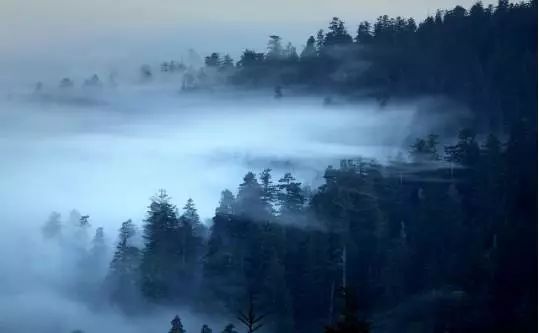 做人做事讲究的是适度,做人做事适度适中从而达到和谐