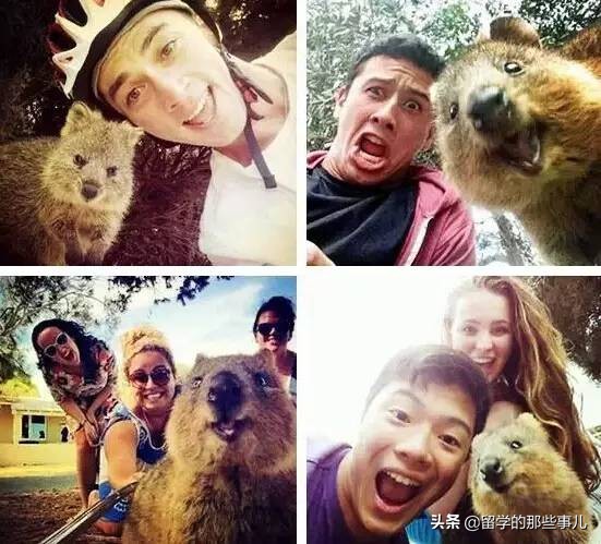 澳大利亚有哪些旅游胜地,澳大利亚有什么好玩的免费景点