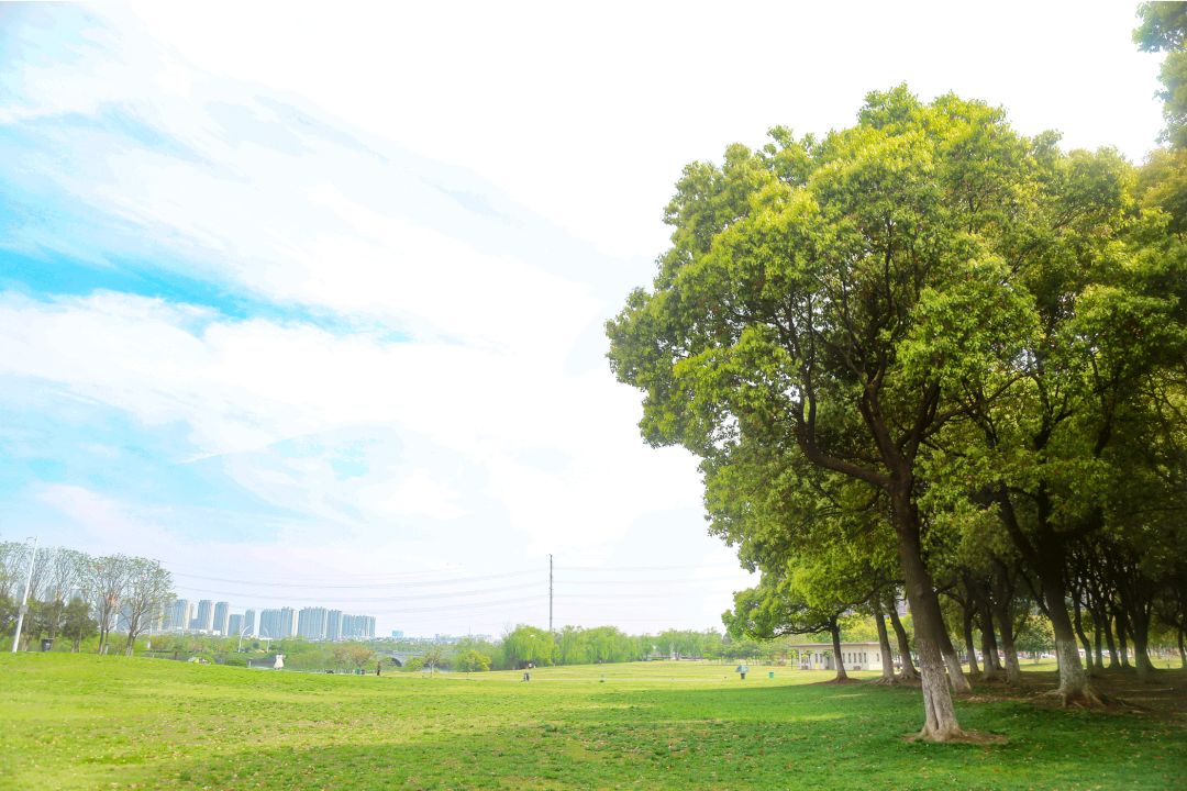 南京免费公园免费开放日一览表,南京免费公园景点推荐