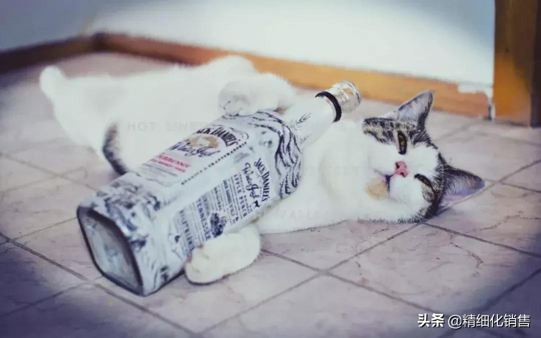 关于喝酒的问题和解决办法,关于喝酒的一个误区