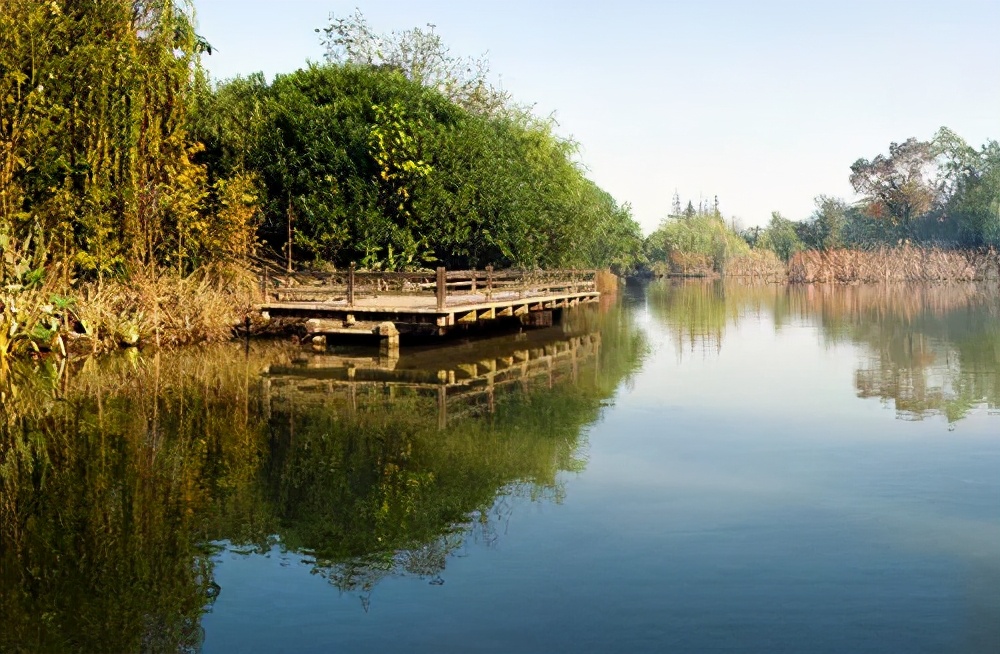 崇明岛西沙湿地公园视频,崇明西沙湿地公园芦苇荡