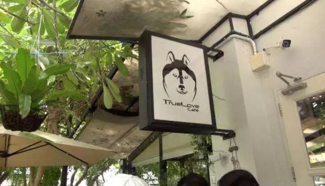 曼谷免税店必买清单,曼谷东西最全的免税店