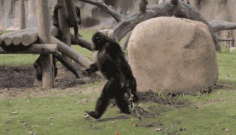 以前人们长虱子现在怎么没有了,以前人们身上有虱子现在怎么没有