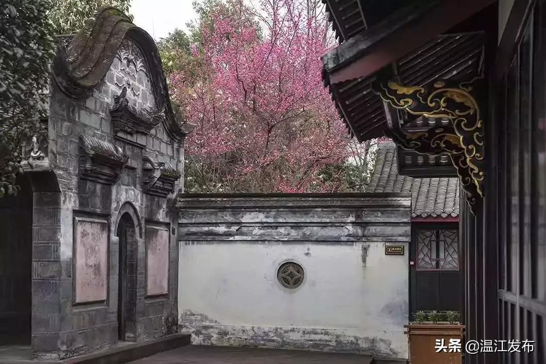 温江区十四五规划要做的十件大事,干大事