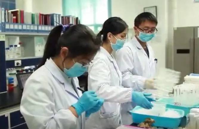 颜宁入选各学院院士候选人了吗,浙江最美教授颜宁