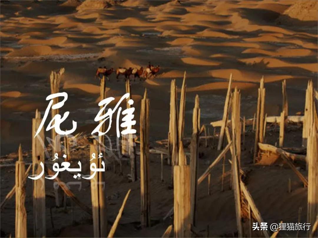 和田地区民丰县尼雅遗址,新疆民丰尼雅