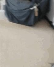 搞笑gif开心一刻可爱的妹子,搞笑gif开心一刻这才是真正的赢家