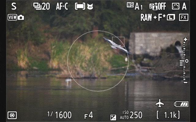 尼康无反相机z9价格,无机械快门相机