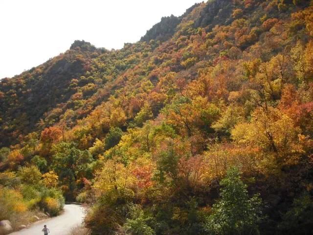 大连哪里的秋色最美呢,大连赏秋景的地方