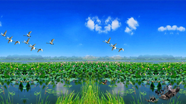 山东秋季旅游去哪里好玩？咱家门口玩个够